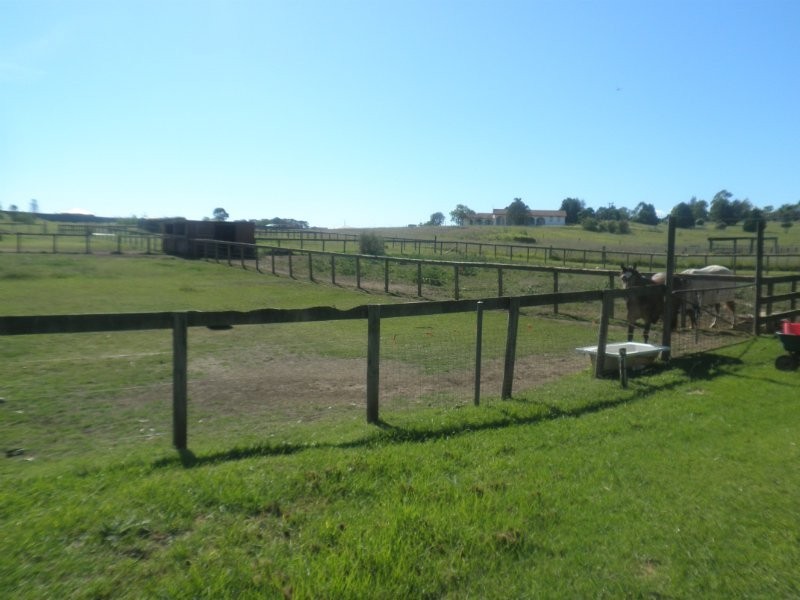 177 Turner Road, Currans Hill NSW 2567