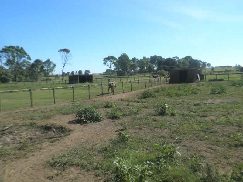 117 Turner Road, Currans Hill NSW 2567