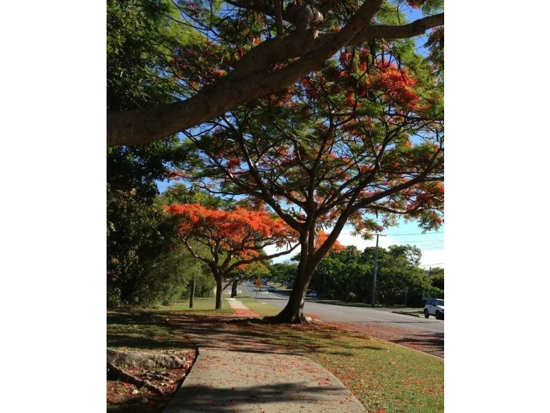 14/299 Main Road, Wellington Point QLD 4160