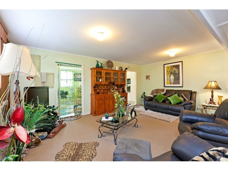 305 Finucane Road, Alexandra Hills QLD 4161