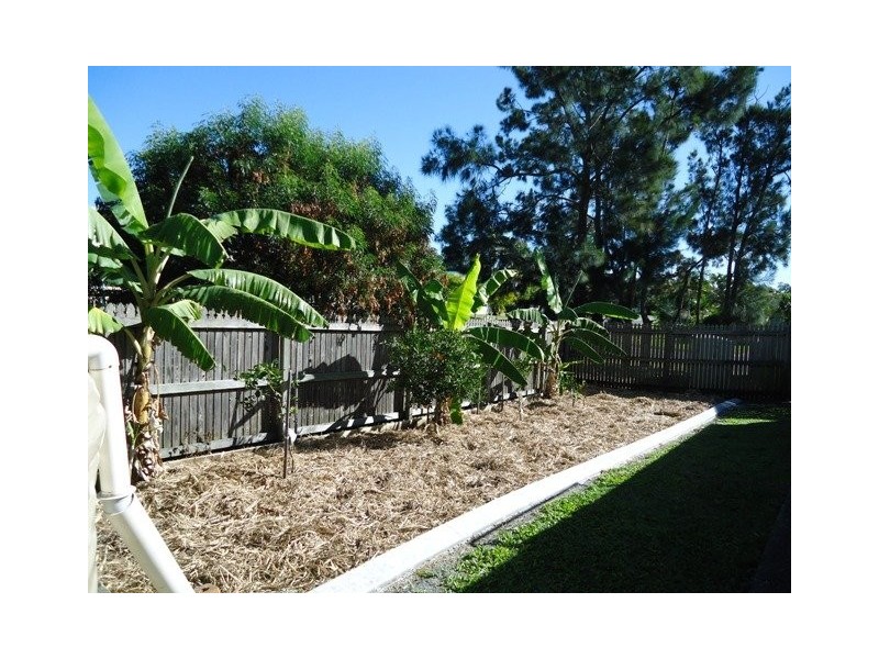 1 Zephyr Court, Birkdale QLD 4159