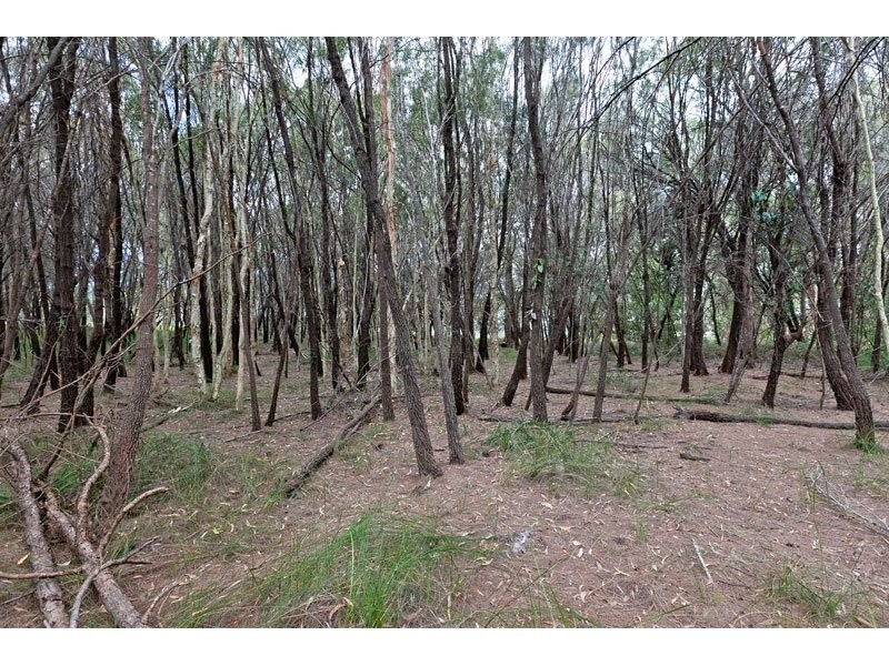 317 Redland Bay Road, Capalaba QLD 4157