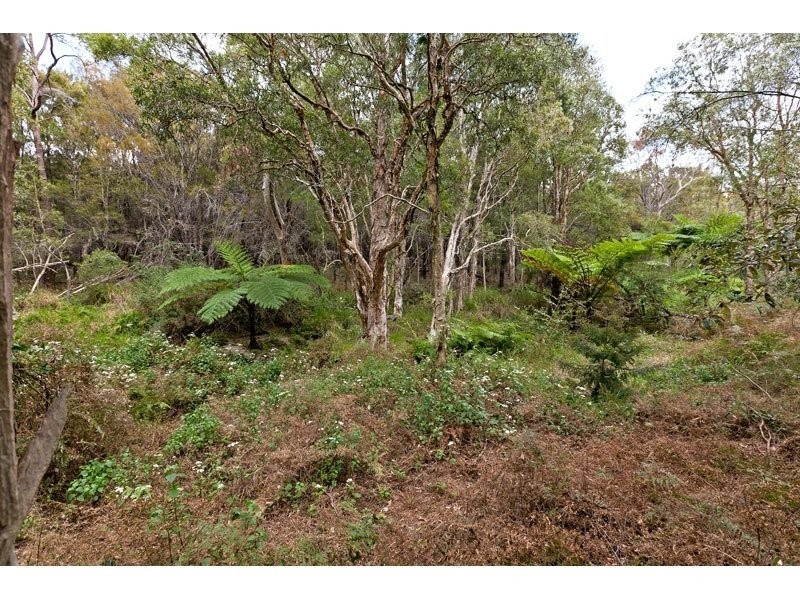 317 Redland Bay Road, Capalaba QLD 4157