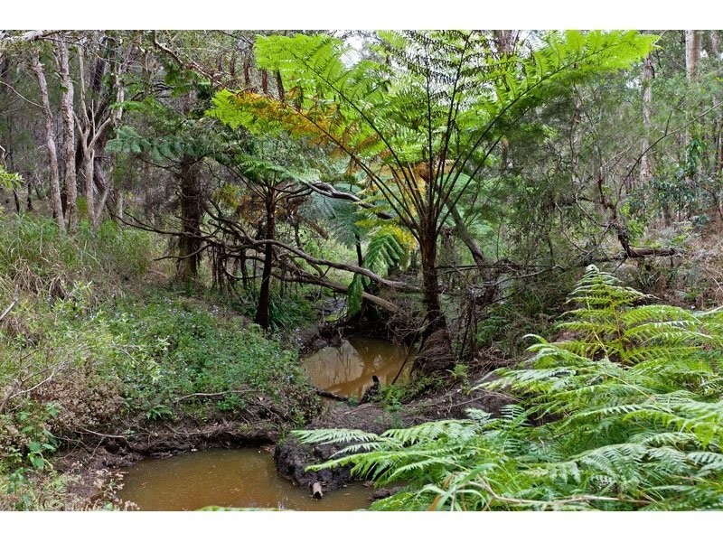 317 Redland Bay Road, Capalaba QLD 4157