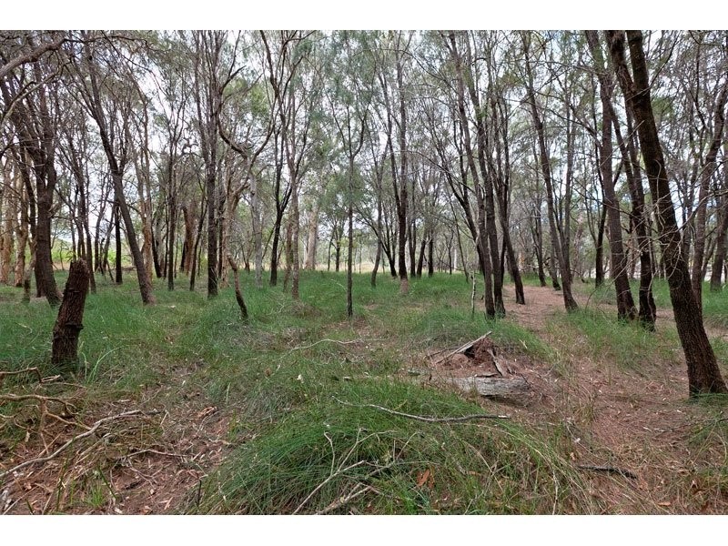 317 Redland Bay Road, Capalaba QLD 4157