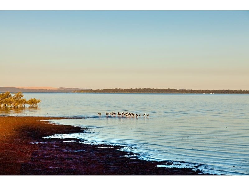 10 Coburg Street East, Cleveland QLD 4163