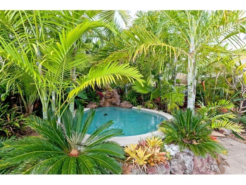 8 Nautilus Dve, Ormiston QLD 4160