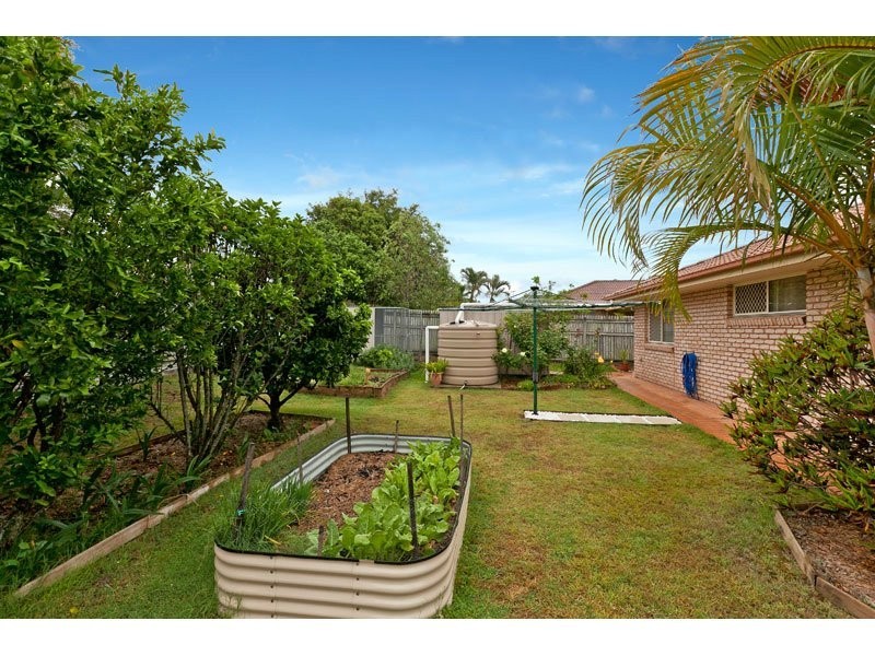 65 Collingwood Road, Birkdale QLD 4159