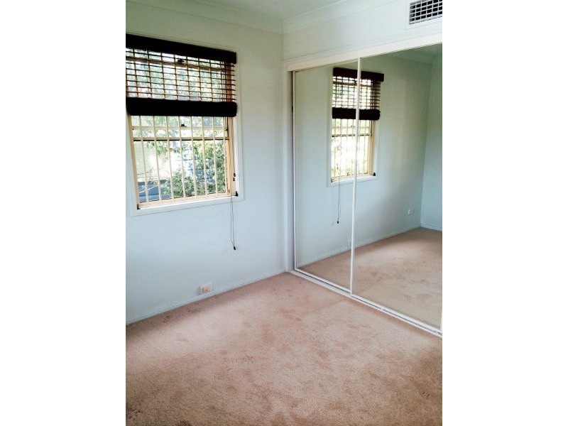 55 Alma Street, Paddington QLD 4064