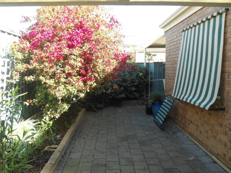 3B Louise Avenue, Warradale SA 5046