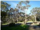 151A Penfold Road, Stonyfell SA 5066