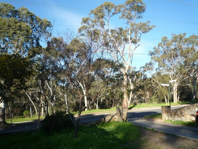 151A Penfold Road, Stonyfell SA 5066