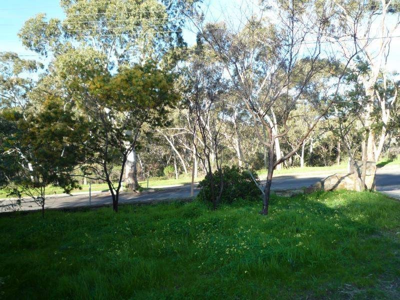 151A Penfold Road, Stonyfell SA 5066