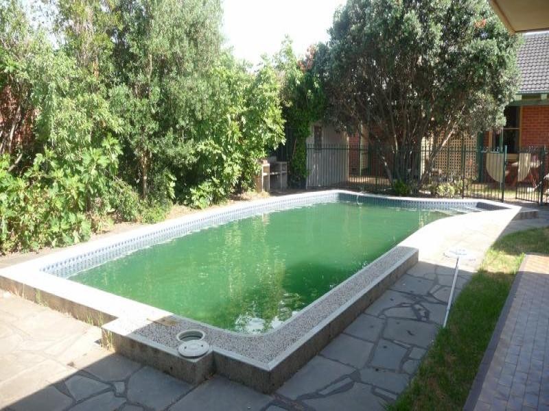 33 Holder Road, Hove SA 5048