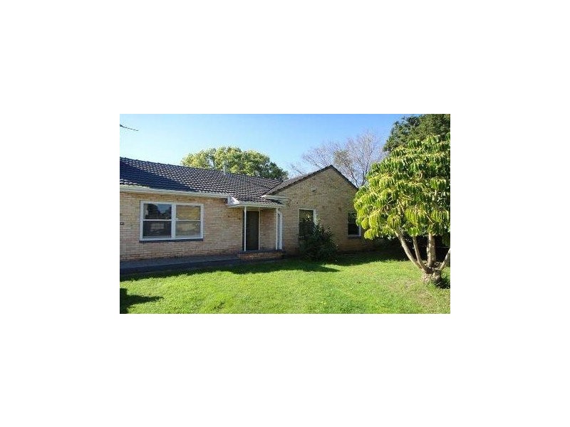 41 Dwyer Road, Oaklands Park SA 5046