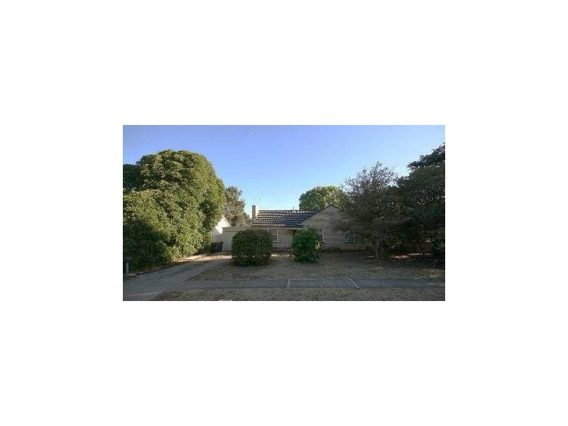 41 Dwyer Road, Oaklands Park SA 5046