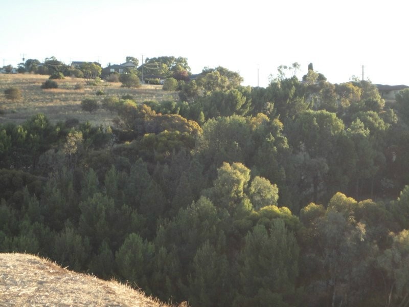 15 Spinks Road, Marino SA 5049