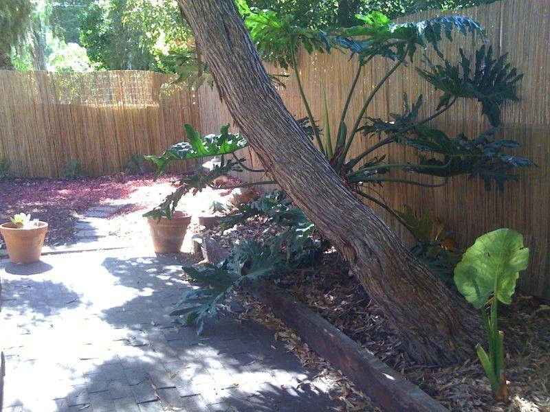 43 Hillside Avenue, Highbury SA 5089