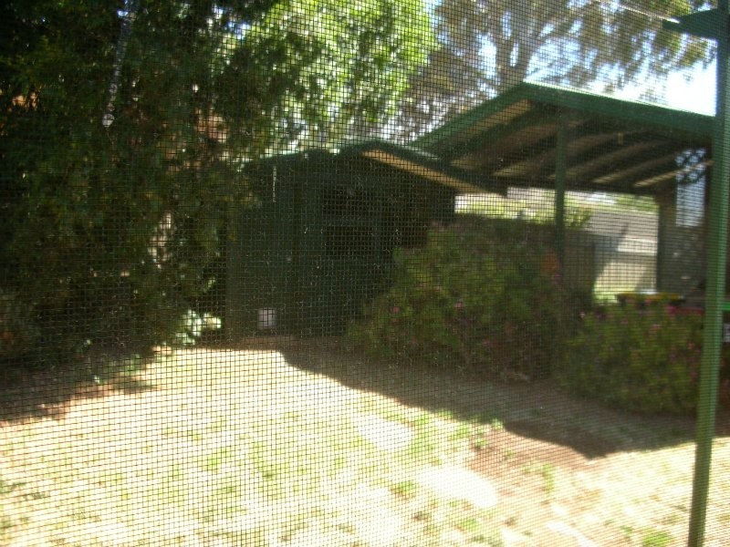 10 Cooper Place, Beaumont SA 5066