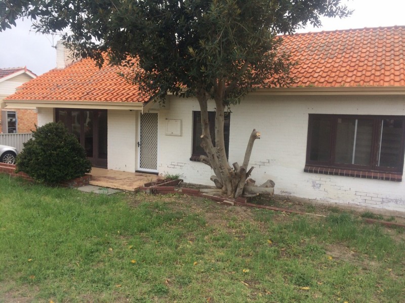 141A Moulden Avenue, Yokine WA 6060