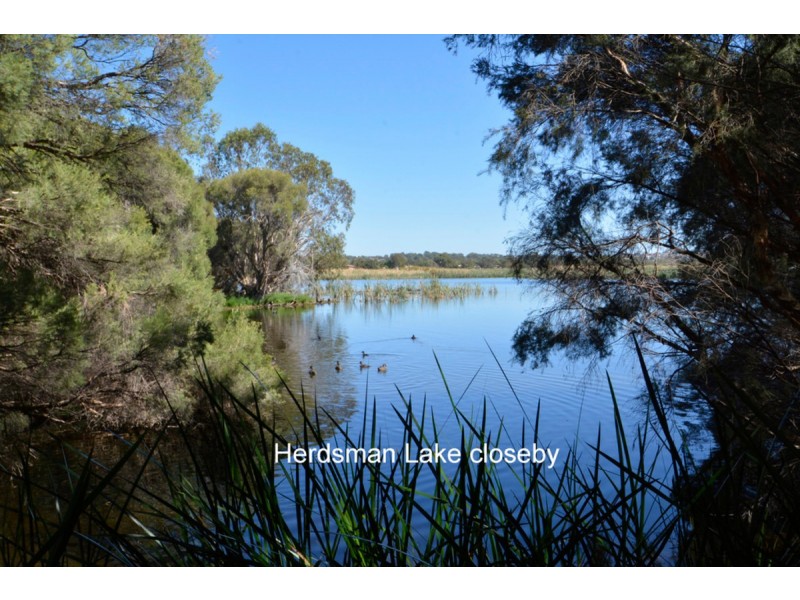 20T/24 Pearson Street, Churchlands WA 6018