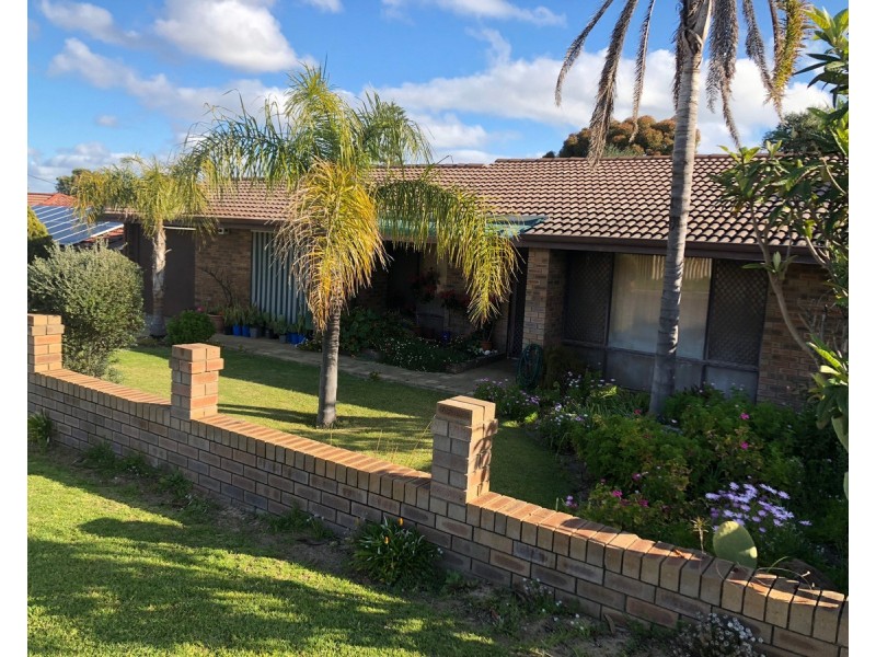 99 Chadstone Road, Craigie WA 6025