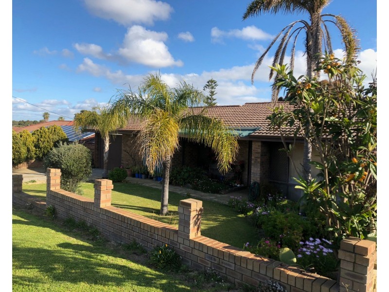 99 Chadstone Road, Craigie WA 6025