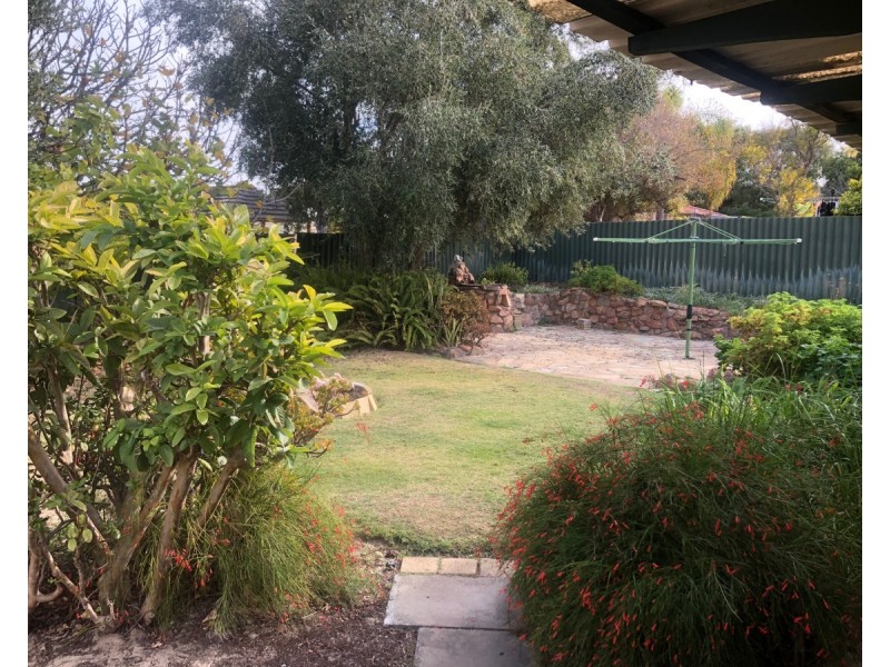 99 Chadstone Road, Craigie WA 6025