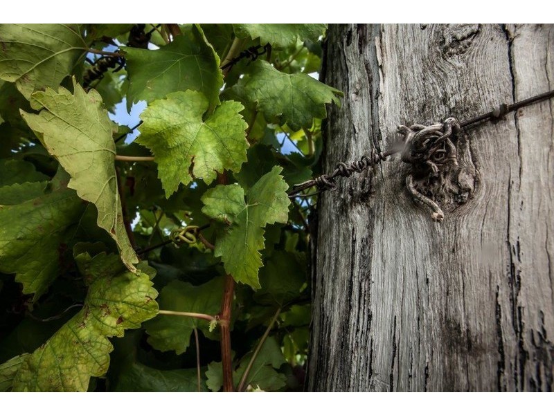 8/17 Wroxton Street, Midland WA 6056