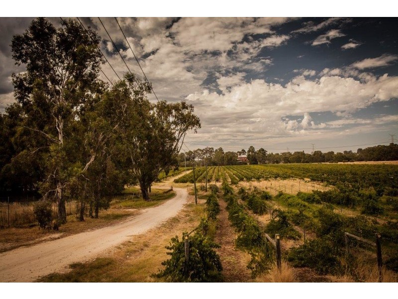 10/17 Wroxton Heights, Midland WA 6056