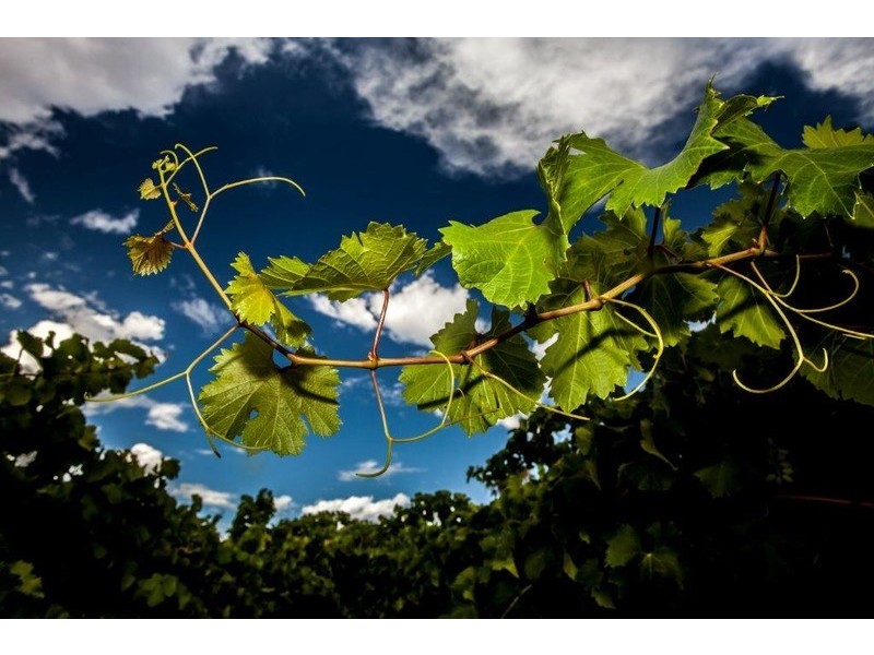 12/17 Wroxton Street, Midland WA 6056