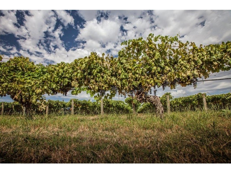 12/17 Wroxton Street, Midland WA 6056