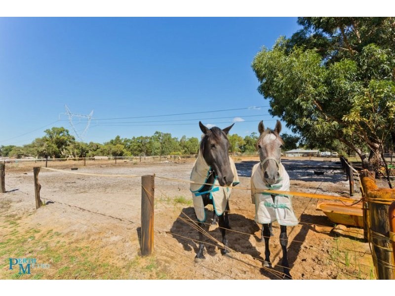 31 Kowin Court, Cardup WA 6122