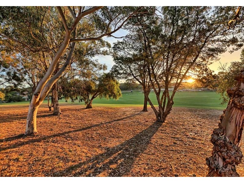 Hamilton Hill WA 6163