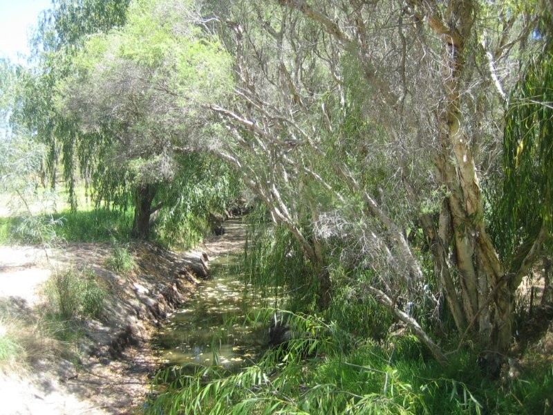 Beckenham WA 6107