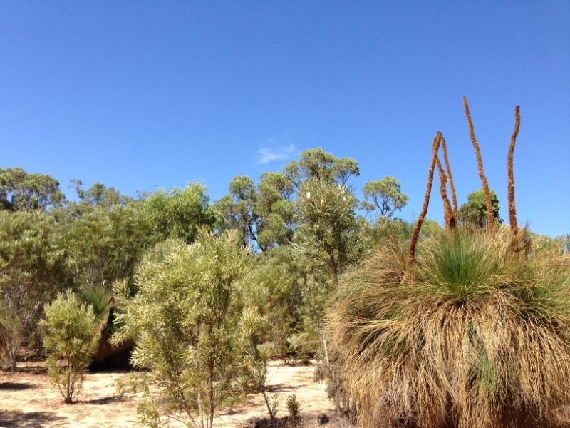 Two Rocks WA 6037