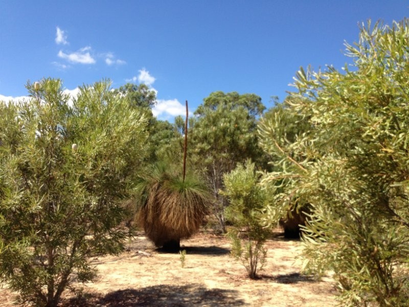 Two Rocks WA 6037