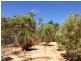 Two Rocks WA 6037