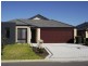 8 Boldwood Road, Banksia Grove WA 6031