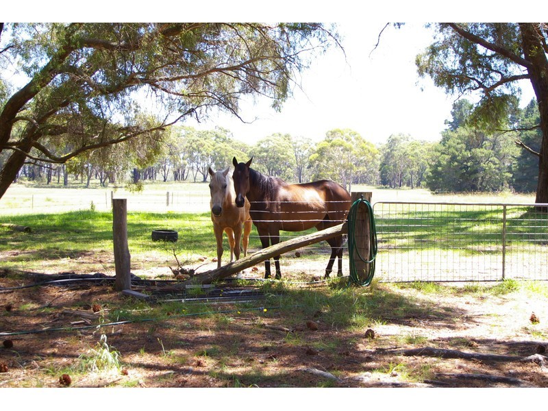 410 Hanging Rock Road, Sutton Forest NSW 2577