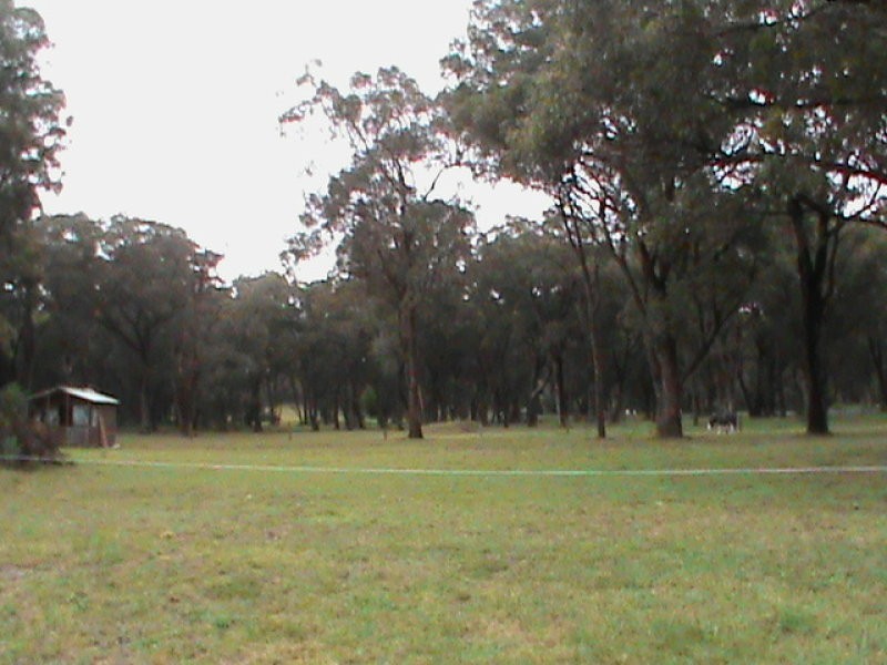 Woodlands NSW 2536