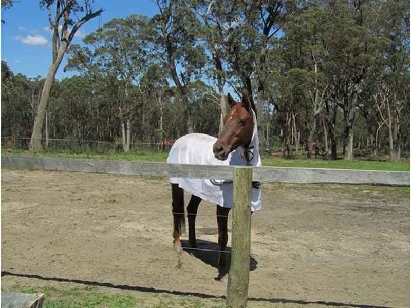 Penrose NSW 2579