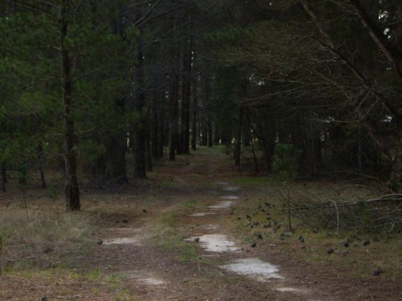 Sutton Forest NSW 2577