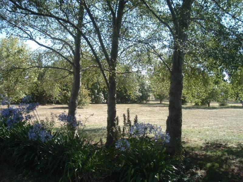 Sutton Forest NSW 2577