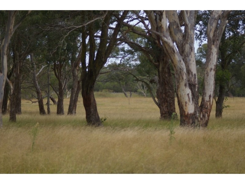 Lot 5, 3195B Canyonleigh Road, Sutton Forest NSW 2577