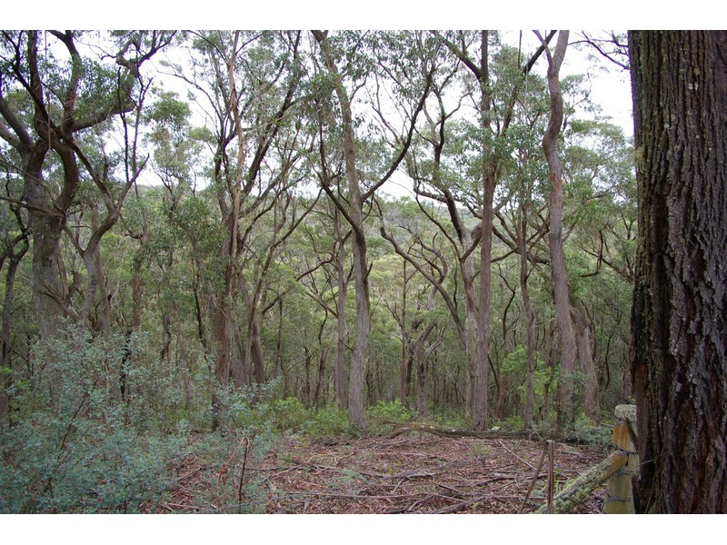 1177 Penrose Road, Penrose NSW 2579