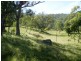 1971 Tugalong Road, Canyonleigh NSW 2577