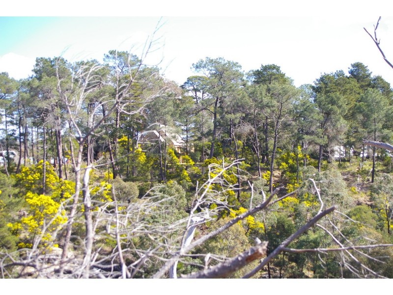 Lots 1-12 Oldbury Street, Berrima NSW 2577