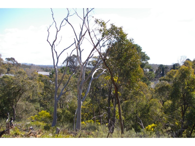 Lots 1-12 Oldbury Street, Berrima NSW 2577