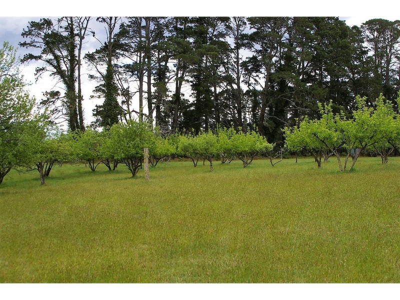 1151 Penrose Road, Penrose NSW 2579